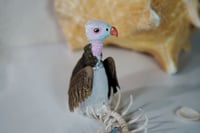 Image 3 of Vulture Mermaid