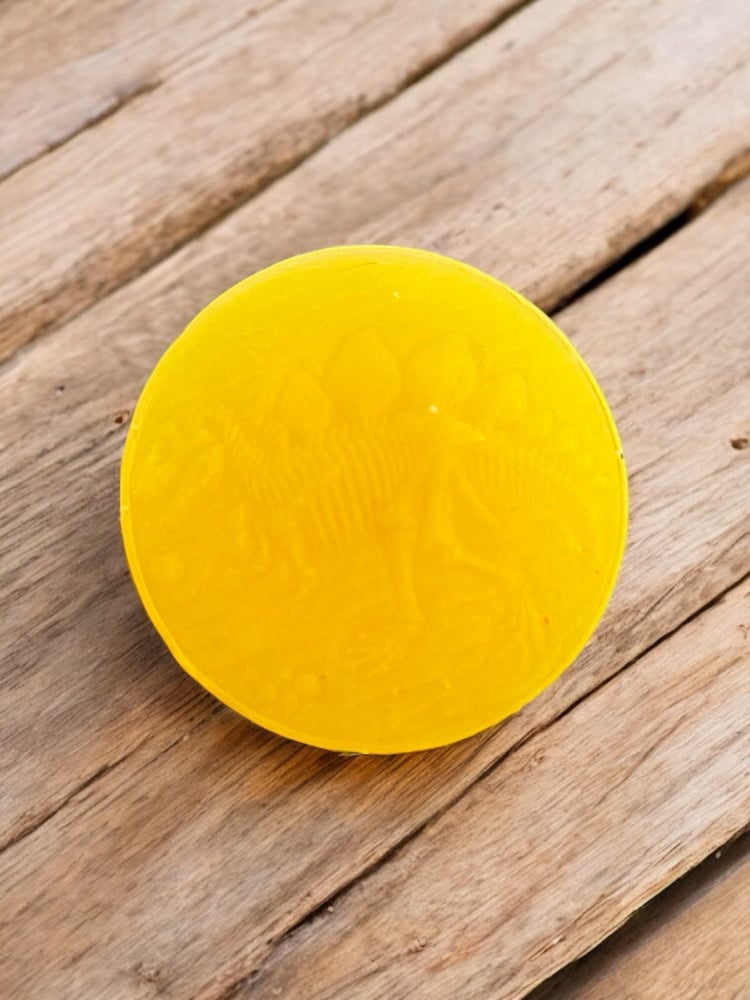 Image of Fossil Bar Soaps (OPTIONS)