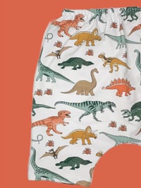 Image 2 of Dino Shorts