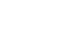 Wizdom
