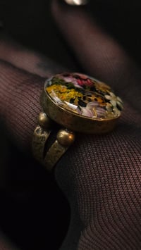 Image 2 of Ladybird scene brass jumbo ring