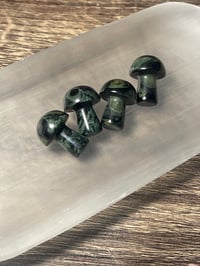 Kambaba jasper mushrooms 