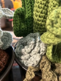 Image 1 of Succulent Planters