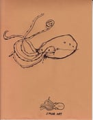 Image of Kraken