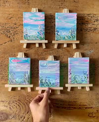 Image 1 of June Minis 