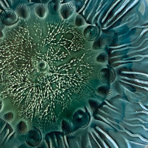 Image of Rockpool plates (E)