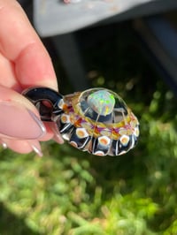 Image 6 of Opal Shells