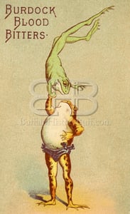 Image of Burdock Blood Bitter - Balancing Frogs