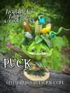Puck