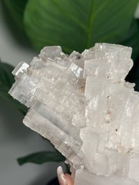 Image 4 of XL WHITE HALITE -MOROCCO- H