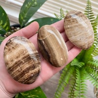 Aragonite (AKA Chocolate Calcite) Palmstone