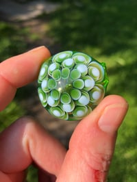 Image 3 of Green X Dots On Lime