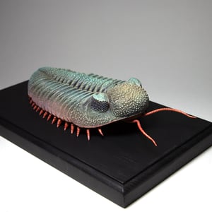 Eldredgeops Trilobite Resin Sculpture