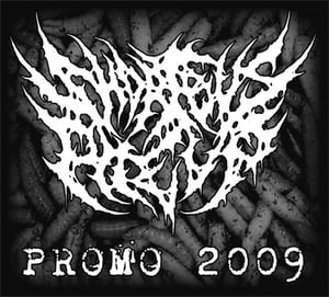 Image of Promo 2009 Download Package