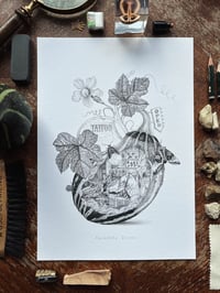Image 1 of Cucurbita Tinctus Print