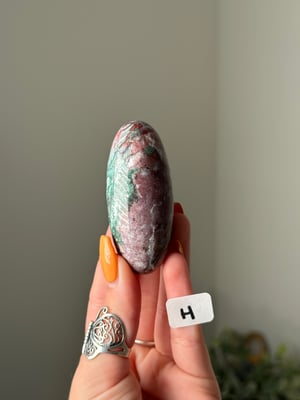 UNICORN JASPER SHIVAS