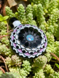 Image 5 of Jewels 