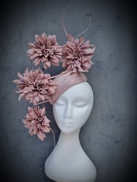 Image 2 of 'Zenith' in Dusty Pink