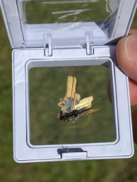 Image 23 of Golden Rutile & Hematite Star Specimen|Brazil #2932