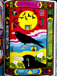 Image 8 of Kiyoshi Awazu "Graphism in the Wilderness”