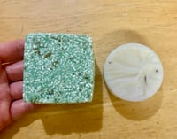 Image 2 of Hair Health Shampoo and Conditioner