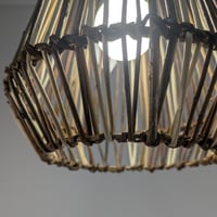 Image 2 of Light Shade by Petals and Pots