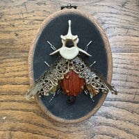 Image 4 of Vertebrae pumpkin beetle (a, 4x5 inches) 