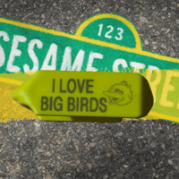 BIG BIRD - I LOVE BIG BIRDS