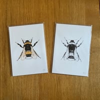 A5 Colour/B&W Bumblebee Print