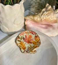 Image 1 of Scallop Trinket Dish SD107