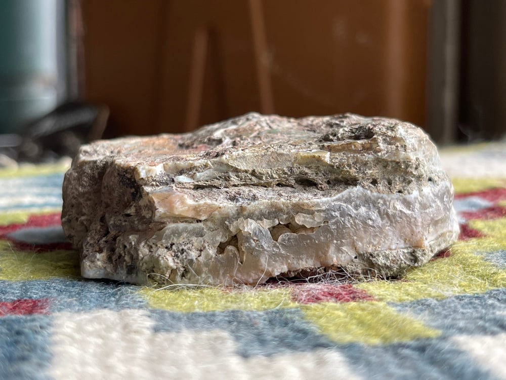 The Reptile Stone Montana Seam Agate