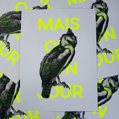 Image of Affiche « MAIS OUI BONJOUR » version aigle