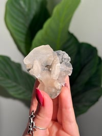 Image 3 of BOWTIE STILBITE X DIAMOND APOPHYLITE -INDIA- E