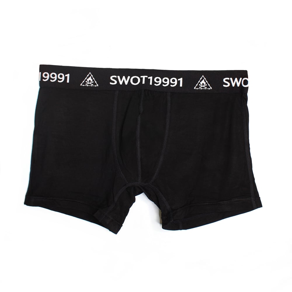 19991 BRIEF