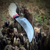 Image 4 of Skinner