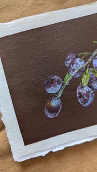 Image 4 of A branch of plums 