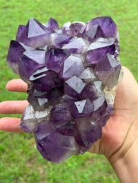 Image 8 of Amethyst Points Cluster | Congo #2868