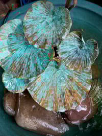 Image 9 of 🌱Lily Pad Fountain 🌱