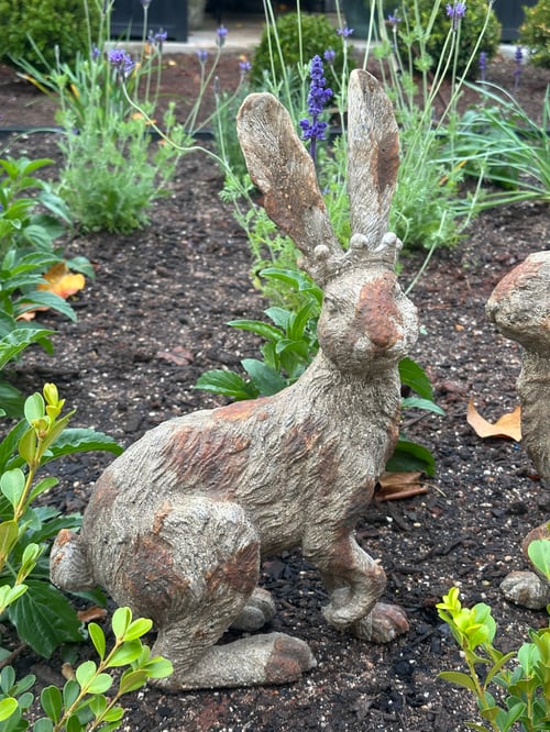 Image of Rustic Hare set of 2 
