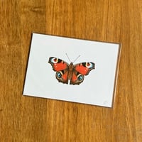 Image 5 of Butterfly Print #5 - Various Designs