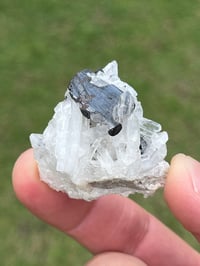 Image 12 of Hübnerite & Fine Quartz Points Specimen | Peru #3060