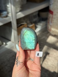 Image 19 of CHOOSE YOUR OWN SMALL LABRADORITE FREEFORM -MADAGASCAR-