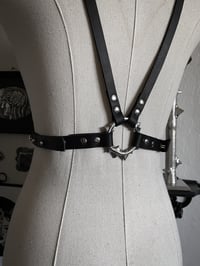 Image 7 of Thorns harness