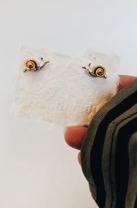 Image 1 of Tiny Snails