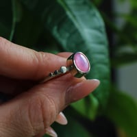 Image 3 of Pink Pearl 