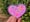 Image of Glitter Heart pink candy3