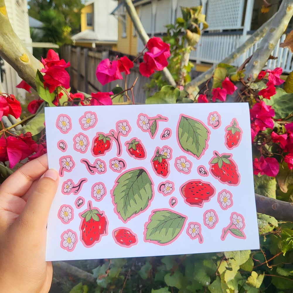 Image of Strawberry frog stickers - C grade 🐸 