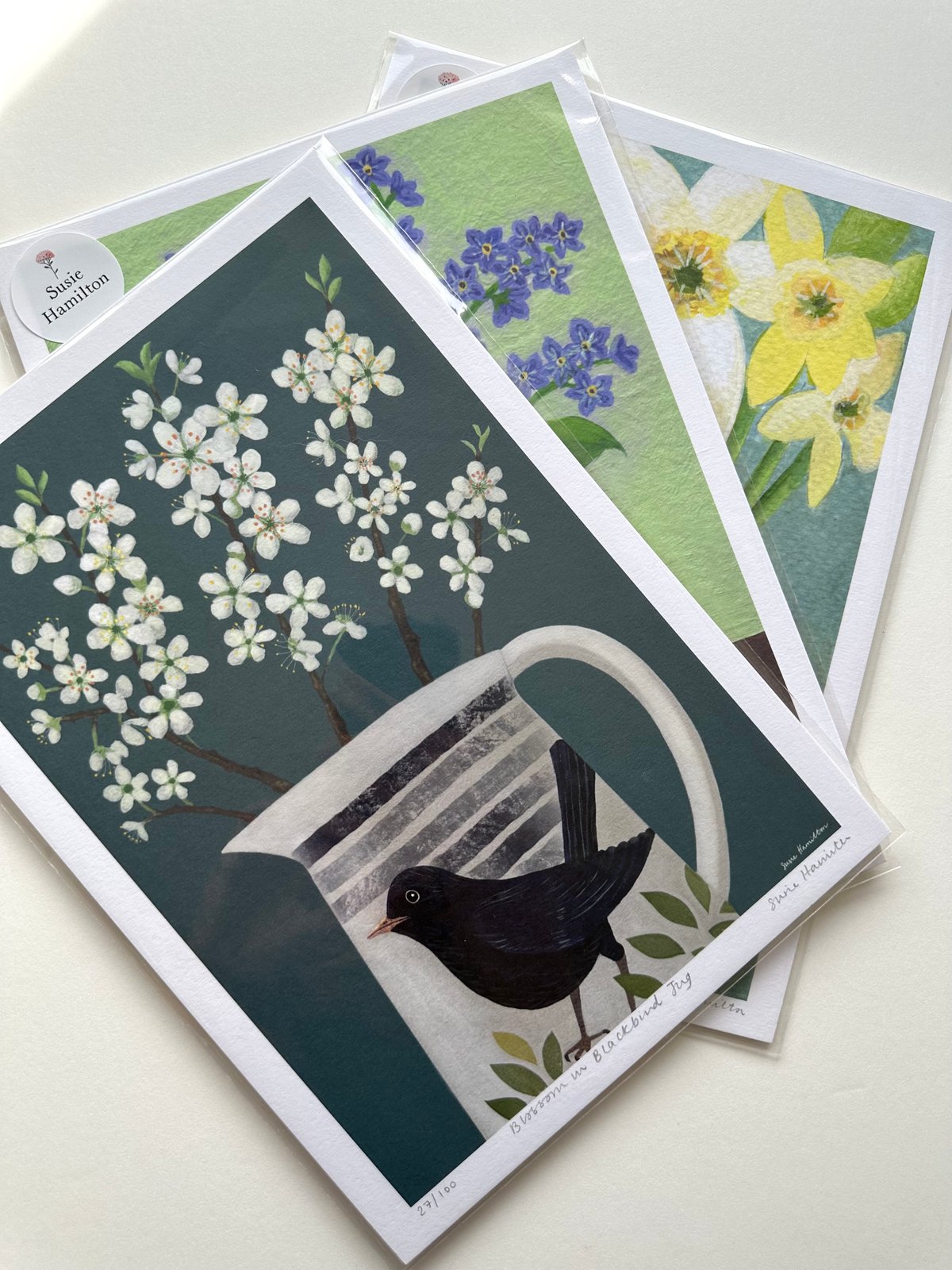 Blossom in Blackbird Jug Print & Card