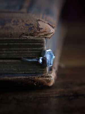 Image of INTO THE GRAVE : MINI RING