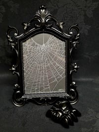 Image 1 of Gothic black ornate framed preserved web  3